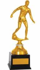 medalhas, trofeus, joalheria, joia, medalh�o, grava��o, estatuetas, esculturas, ouro, prata, acr�lico, personalizado, vidro
