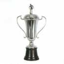 medalhas, trofeus, joalheria, joia, medalh�o, grava��o, estatuetas, esculturas, ouro, prata, acr�lico, personalizado, vidro