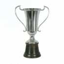 medalhas, trofeus, joalheria, joia, medalh�o, grava��o, estatuetas, esculturas, ouro, prata, acr�lico, personalizado, vidro