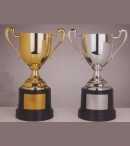 medalhas, trofeus, joalheria, joia, medalh�o, grava��o, estatuetas, esculturas, ouro, prata, acr�lico, personalizado, vidro