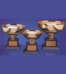 medalhas, trofeus, joalheria, joia, medalh�o, grava��o, estatuetas, esculturas, ouro, prata, acr�lico, personalizado, vidro