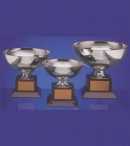 medalhas, trofeus, joalheria, joia, medalh�o, grava��o, estatuetas, esculturas, ouro, prata, acr�lico, personalizado, vidro