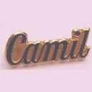 medalhas, trofeus, joalheria, joia, medalh�o, grava��o, estatuetas, esculturas, ouro, prata, acr�lico, personalizado, vidro