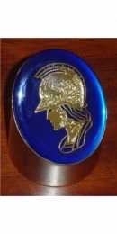medalhas, trofeus, joalheria, joia, medalh�o, grava��o, estatuetas, esculturas, ouro, prata, acr�lico, personalizado, vidro